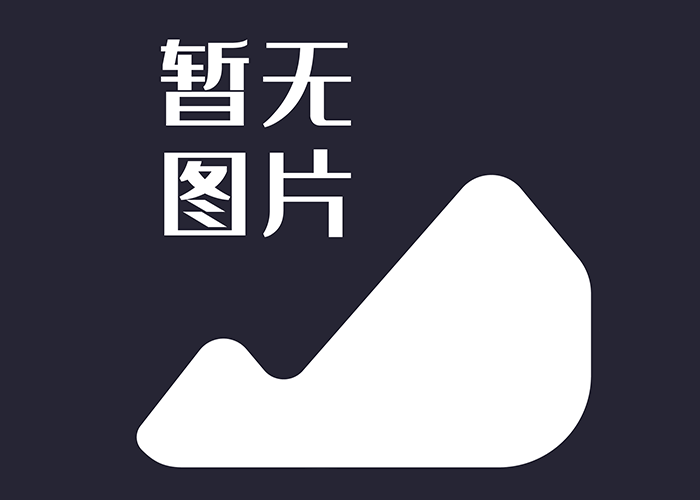  帶式輸送機傳動軸異響維修方法